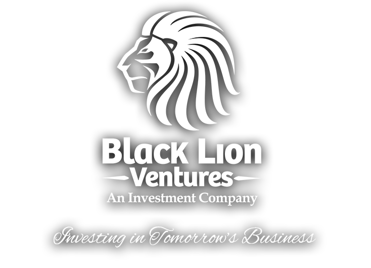 Black Lion Ventures LLC (Delaware)