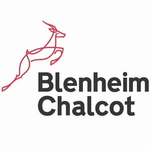 Blenheim Chalcot: Investments against COVID-19