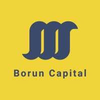 Borun Capital