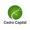 Cedro Capital