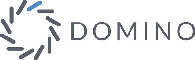 Domino Data Lab