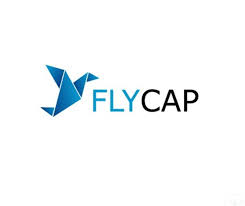 FlyCap