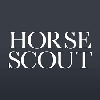 Horse Scout