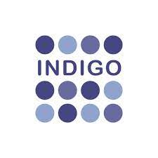 Indigo Capital Partners