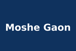 Moshe Gaon