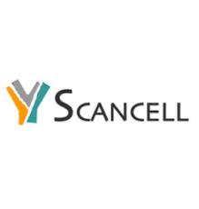 Scancell (AgeTech UK)