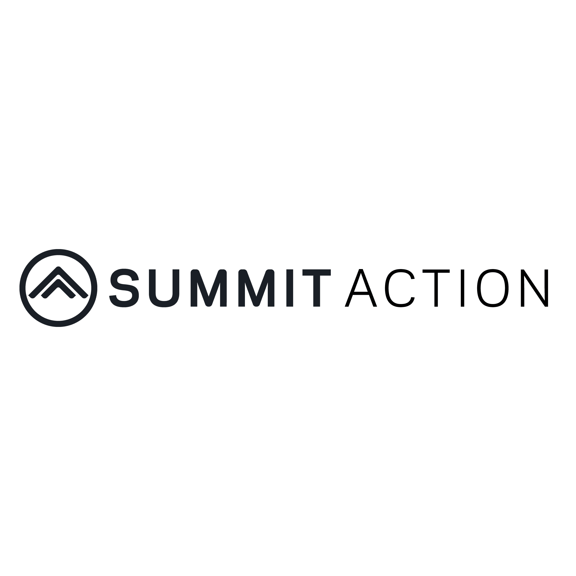 Summit Action