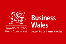 Wales' Economic Resilience Fund: Government against COVID-19