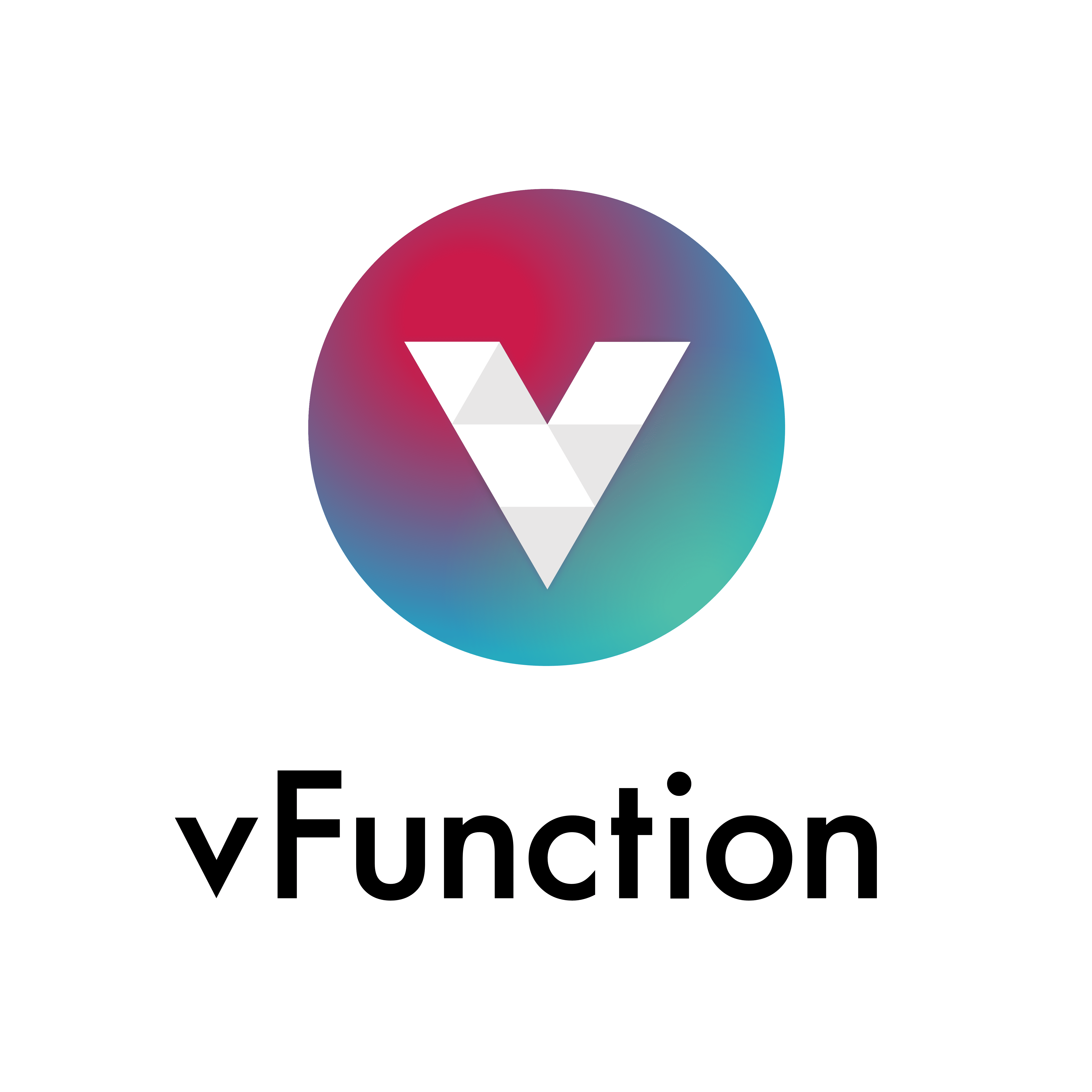 vFunction